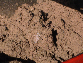 solventextraction crud recoverd by a flottweg tricanter three pahse separation decanter centrifuge