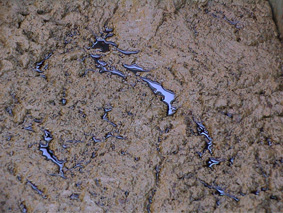 solvent extraction crud recovered by conventional methods